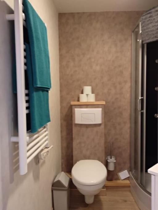 Appartement Centre Ville Rose Toulouse Exterior foto